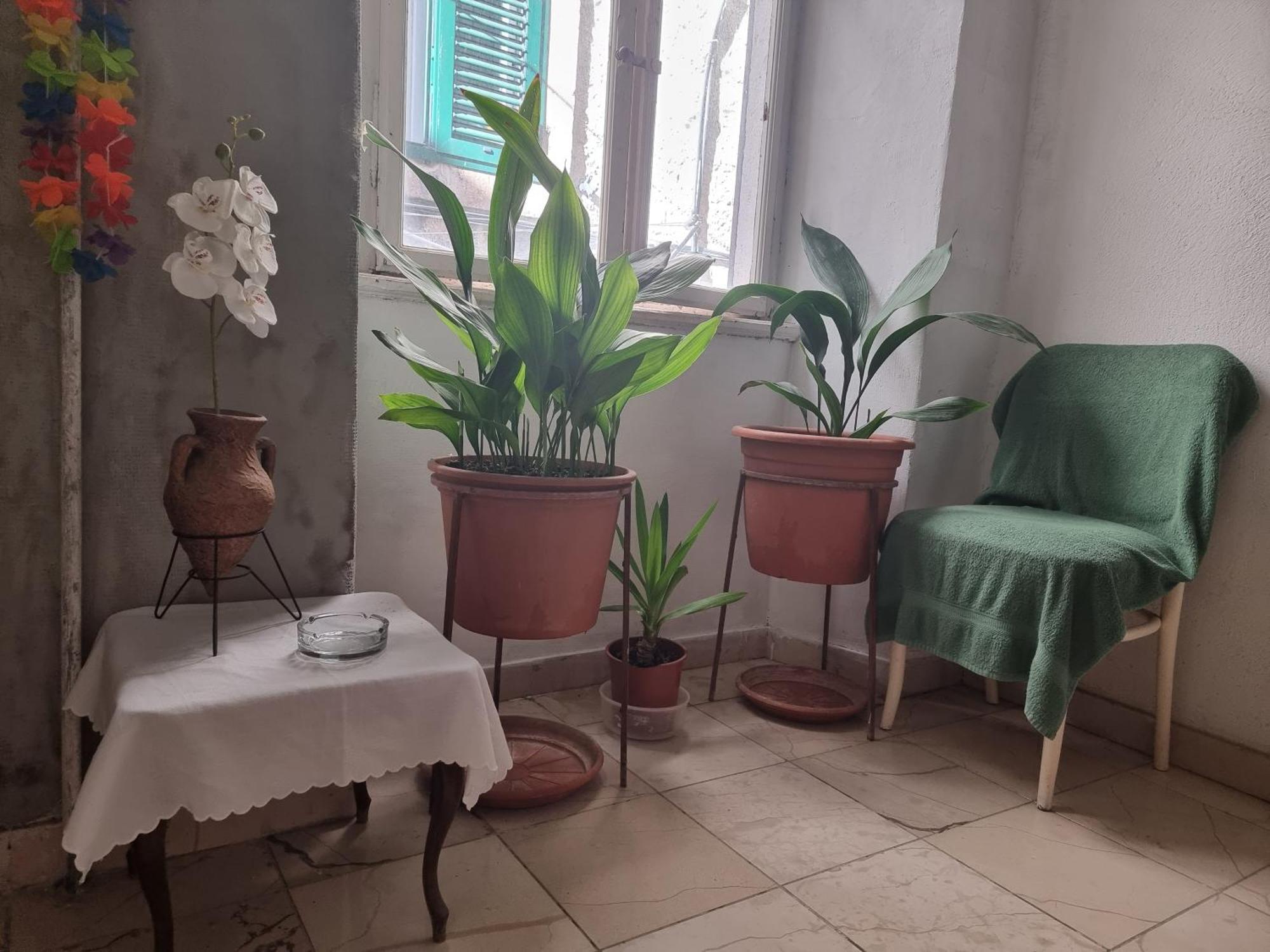 Center Room D16 In The Ancient Roman Palace Split Extérieur photo